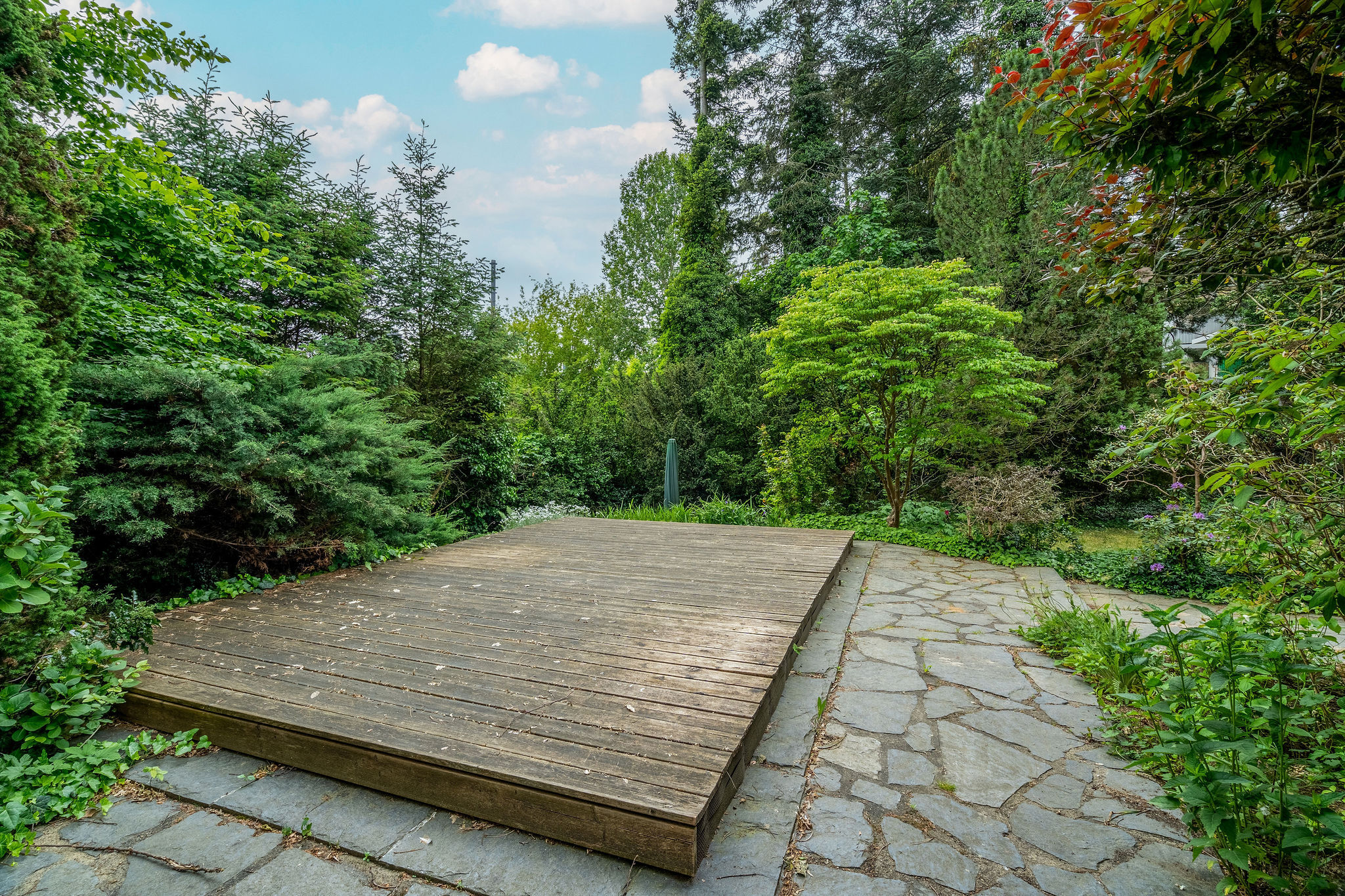 Pool/Terrasse