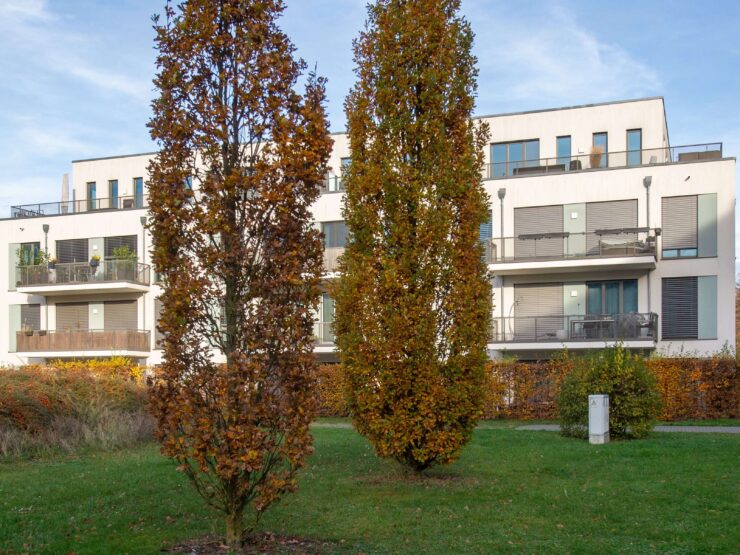 4 Zimmer! Moderner Wohntraum in Toplage!